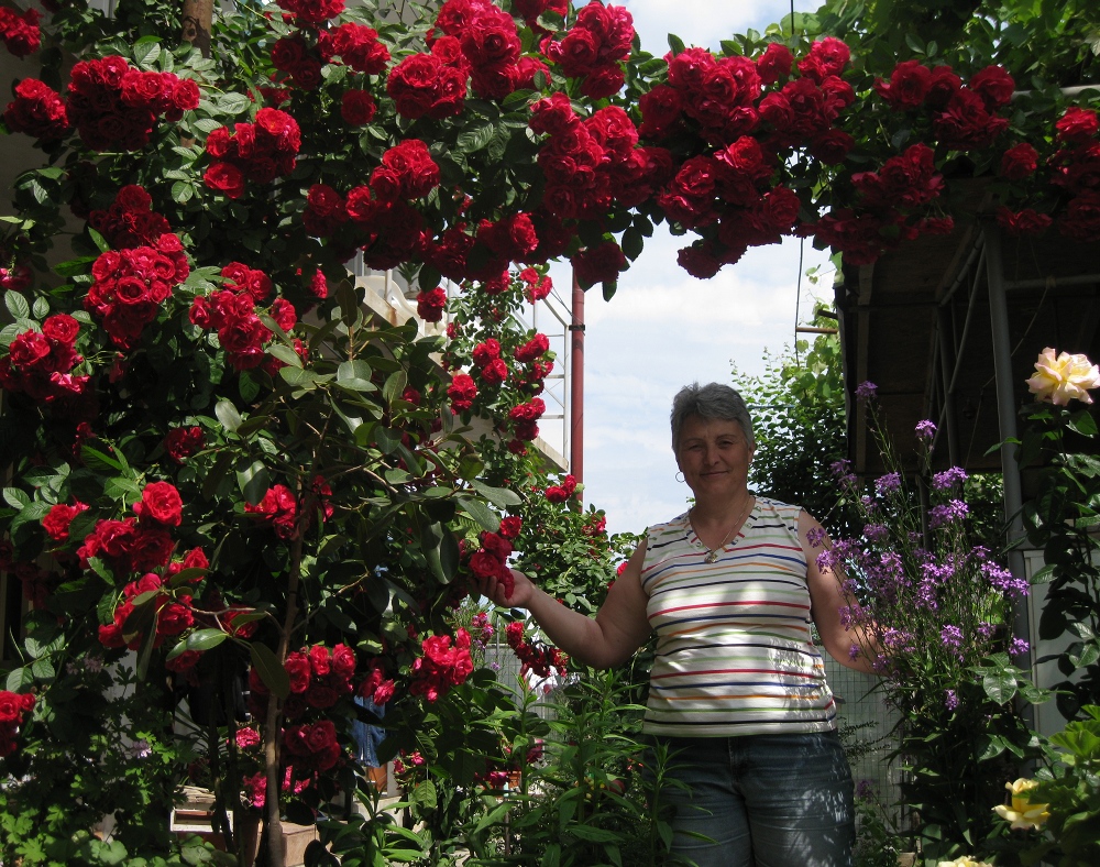 Apasati pe imagine pentru mai multe detalii